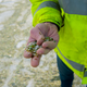 Image for article titled A Tour of the Largest Commingled Recycling Plant in the U.S.